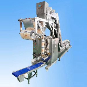 HC-450大背封碗式翻斗包裝機